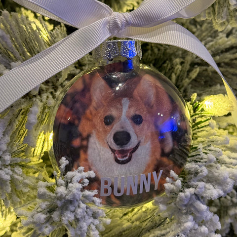 Personalized Pet Ornament
